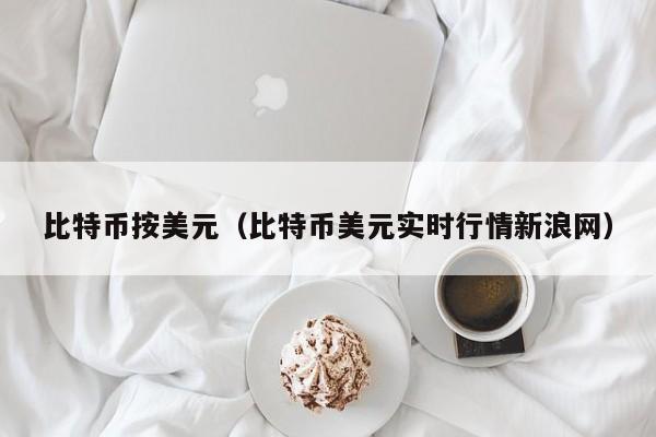 比特币按美元(比特币美元实时行情新浪网)