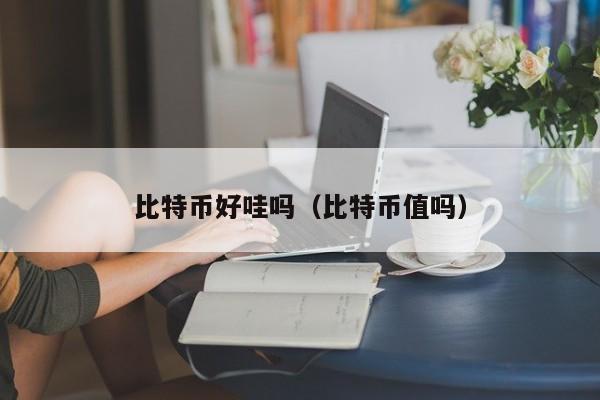 比特币好哇吗(比特币值吗)