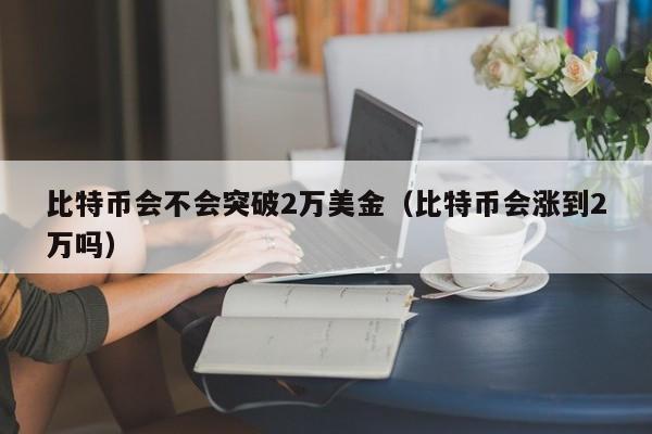 比特币会不会突破2万美金(比特币会涨到2万吗)