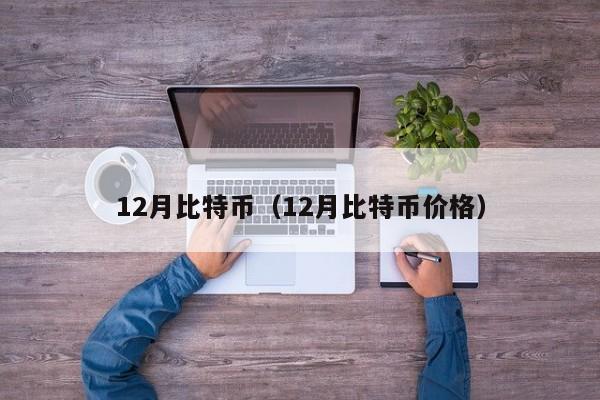 12月比特币(12月比特币价格)