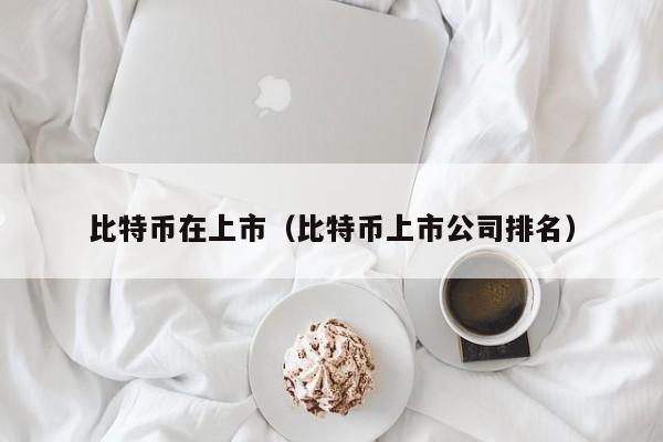 比特币在上市(比特币上市公司排名)