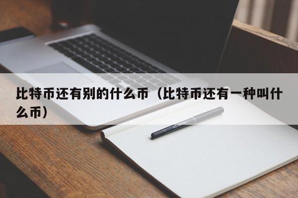 比特币还有别的什么币(比特币还有一种叫什么币)