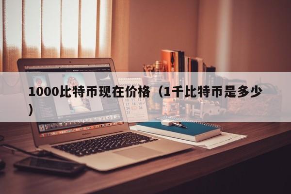 1000比特币现在价格(1千比特币是多少)