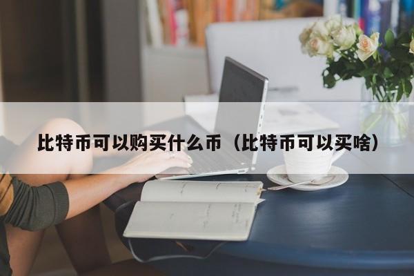比特币可以购买什么币(比特币可以买啥)