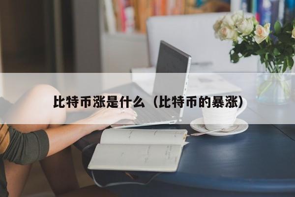 比特币涨是什么(比特币的暴涨)