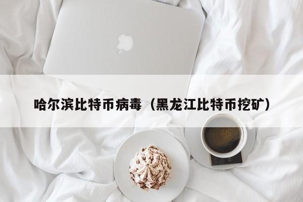 哈尔滨比特币病毒(黑龙江比特币挖矿)