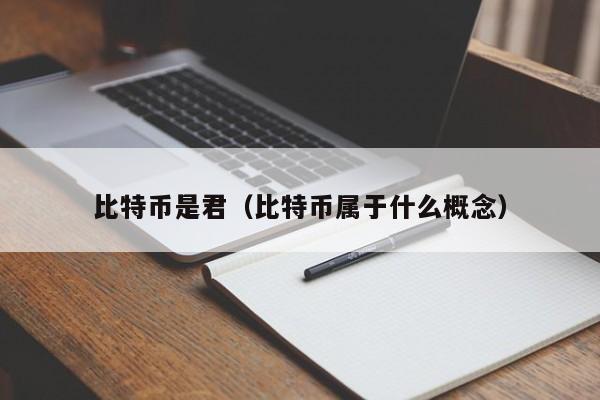 比特币是君(比特币属于什么概念)
