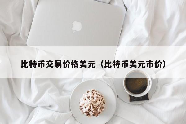 比特币交易价格美元(比特币美元市价)