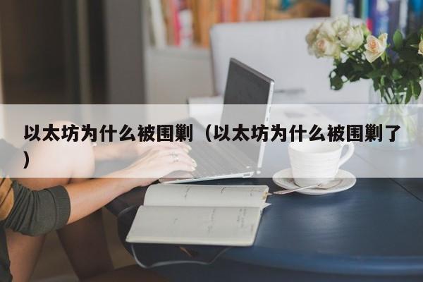 以太坊为什么被围剿(以太坊为什么被围剿了)