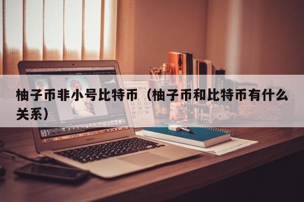 柚子币非小号比特币(柚子币和比特币有什么关系)