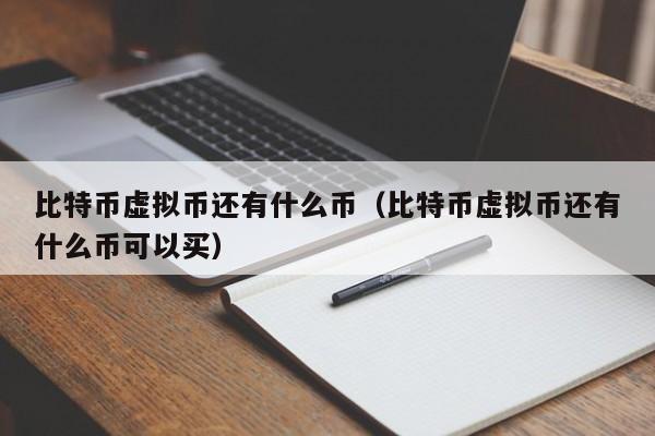 比特币虚拟币还有什么币(比特币虚拟币还有什么币可以买)