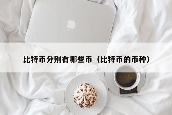 比特币分别有哪些币(比特币的币种)