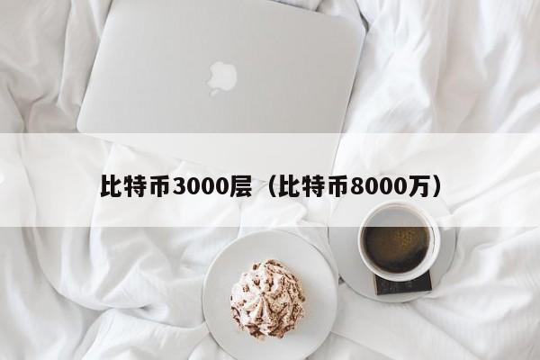 比特币3000层(比特币8000万)